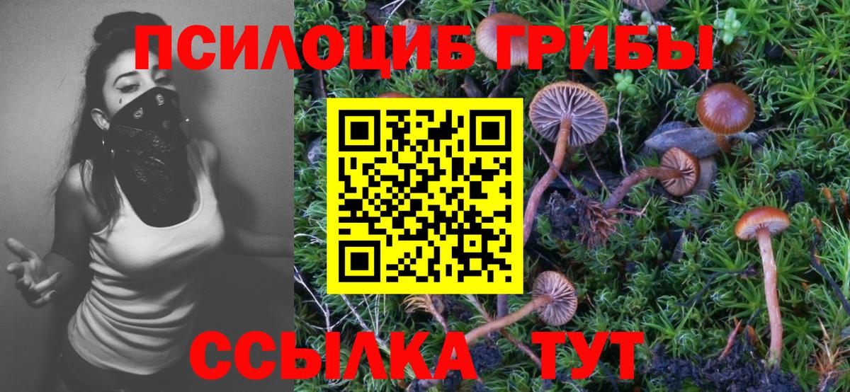 Галлюциногенные грибы мухоморы  Вход с VPN  Галлюциногенные грибы ЛСД  Назарово 